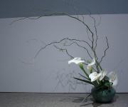 28 - Elizabeth Loan.jpg 3.7K